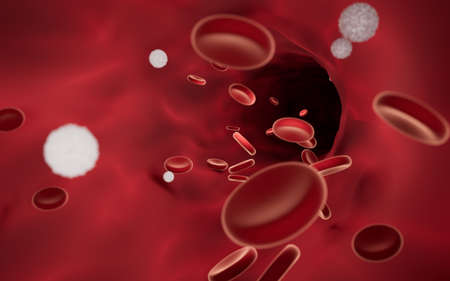 Red and white blood cells in blood vessels, 3d rendering. Computer digital drawing.の写真素材