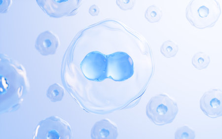 Cell division and floating cells in the blue background, skin treatment, biology and medicine concept, 3d rendering. Digital drawing.の写真素材