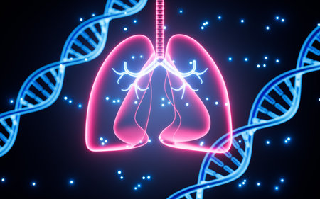 Human lung respiratory system and DNA model, lung disease, lung treatment, 3d rendering. Digital drawing.の写真素材