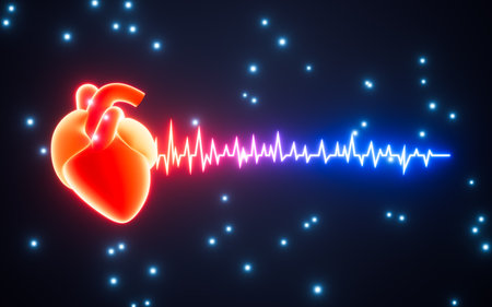 Human heart beat rate line and cardiogram pulse heartbeat, 3d rendering. Digital drawing.の写真素材