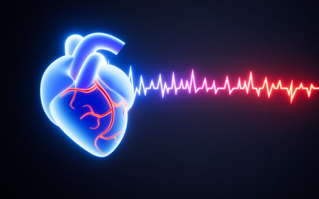 Human heart beat rate line and cardiogram pulse heartbeat, 3d rendering. Digital drawing.の写真素材