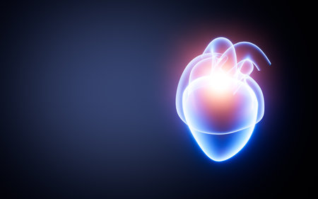 Heart model in the white background, 3d rendering. Digital drawing.の写真素材
