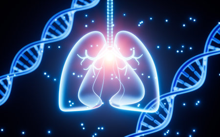 Human lung respiratory system and DNA model, lung disease, lung treatment, 3d rendering. Digital drawing.の写真素材
