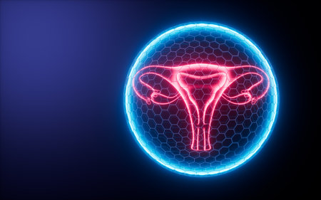 Shield and uterus, protect uterine health, defense disease, 3d rendering. 3d illustration.