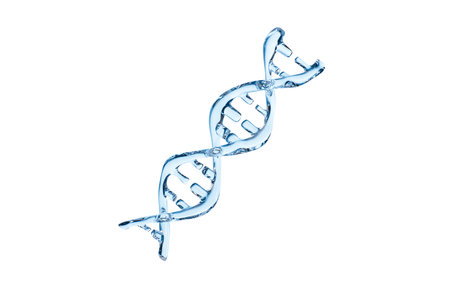 DNA in the white background, 3d rendering. 3d illustration.の写真素材