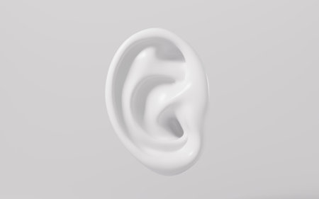 Human ear model, auditory system, 3d rendering. 3d illustration.の写真素材