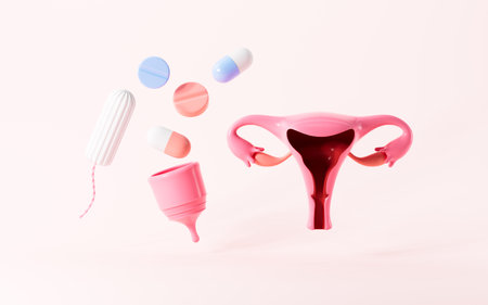 Cartoon uterus , drugs, menstrual cup, tampons and so on female product, 3d rendering. 3d illustration.の写真素材