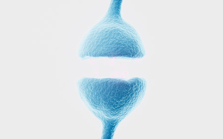 Neurons and synapses, nervous system concept, 3d rendering. 3d illustration.の写真素材