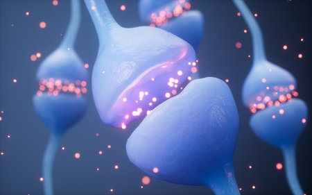 Neurons and synapses, nervous system concept, 3d rendering. 3d illustration.の写真素材