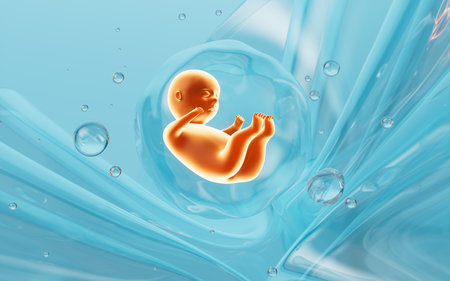 Human embryo model, 3d rendering. 3d illustration.の写真素材