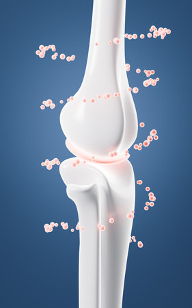 Human kneecap model and drug absorption, Biological and medical concepts, 3d rendering. 3d illustration.の写真素材