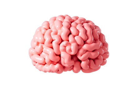 Cartoon human brain model, 3d rendering. 3d illustration.