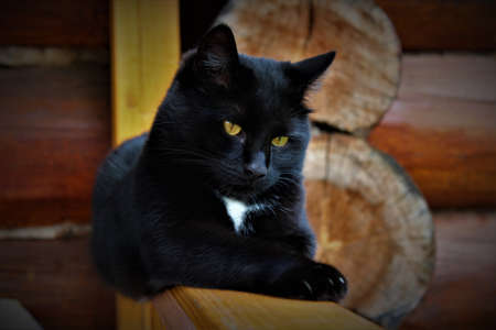 Photos of different subjectsのeditorial素材