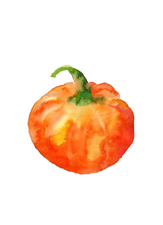 watercolor pumpkinの写真素材