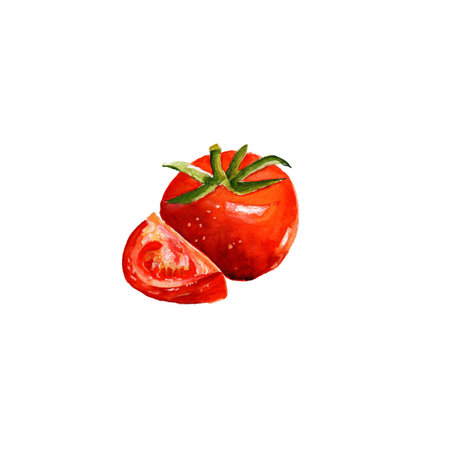 watercolor tomatoの写真素材