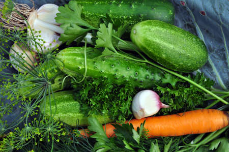Background of fresh vegetables の写真素材