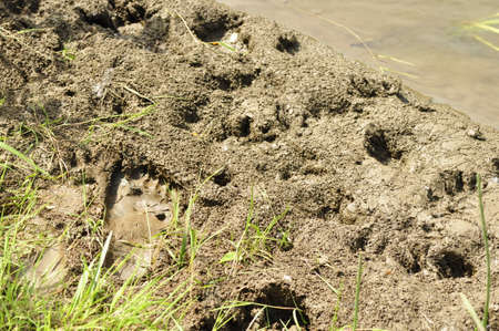 Footprint in the wet sand.