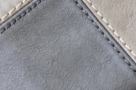 The texture of the skin.の写真素材