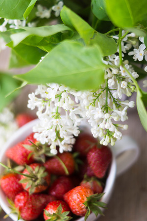 Fresh strawberries and white lilac flowers on the old wooden tableの写真素材