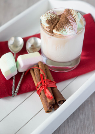 marshmallows,milk, and chocolate,cinnamon sticks,chocolateの写真素材