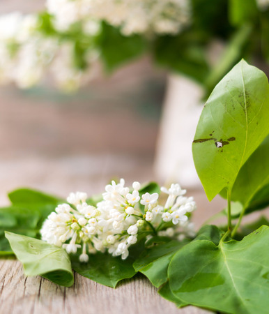 White lilac flowers in the vase on the old wooden tableの写真素材