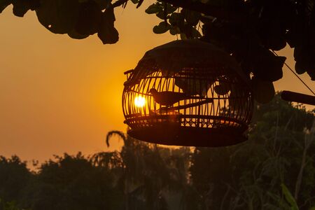 bird cageの写真素材