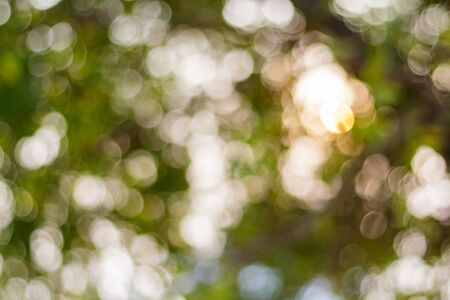 Bokeh lighs color background blurの写真素材