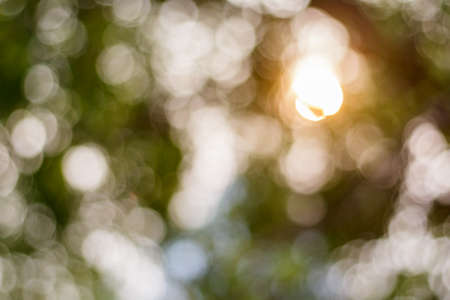 Bokeh lighs color background blurの写真素材