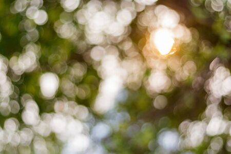 Bokeh lighs color background blurの写真素材