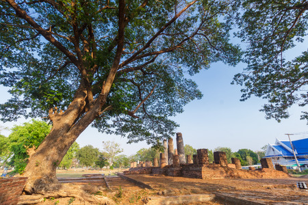 Buddhist temple (wat) in Phitsanulok Province, Thailand.の写真素材