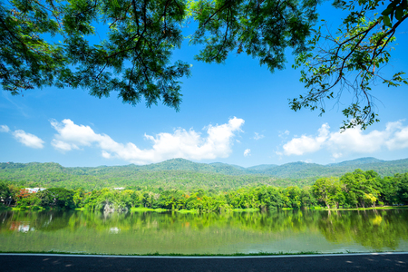 Along road landscape view in Ang Kaew Chiang Mai University Forested Mountain blue sky background with white clouds, Nature Road in mountain forest.の写真素材