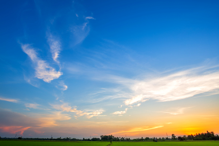 blue sky background texture with white clouds sunset,beautiful green cornfield.の写真素材