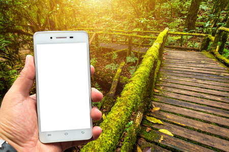 Men use smartphone blurred images in Angkha Nature Trail in Doi Inthanon National Park, Thailandの写真素材