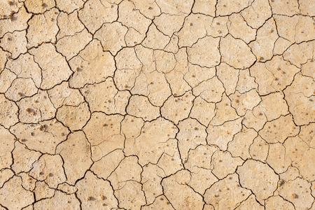 Brown dry soil or cracked ground texture backgroundの写真素材