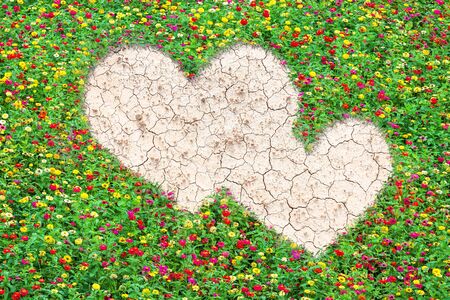 Heart-shaped field of common zinnia beautifully with green leaves growing on brown dry soil or cracked ground texture background.Love conceptの写真素材