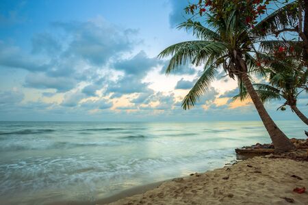 Beautiful early morning sunrise over Coconut tree with the sea the horizon at Hat chao lao beach in Chanthaburi Thailand.の写真素材