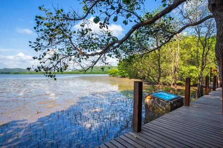 bridge wooden walking way in The forest mangrove and the sea the horizon in Chanthaburi Thailand.の写真素材