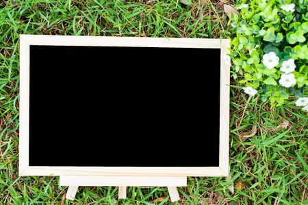 empty wooden blackboard and Flowerpot in square shape on green grass in the park background.の写真素材