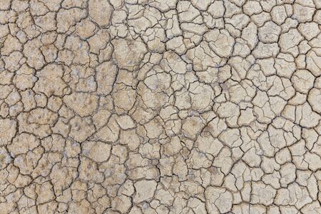 Brown dry soil or cracked ground texture background.の写真素材