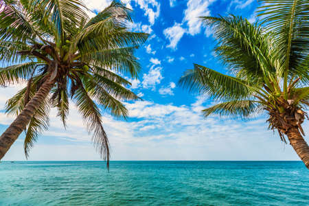 Beautiful early morning sunrise over Coconut tree with the sea the horizon at Hat chao lao beach in Chanthaburi Thailand.の写真素材