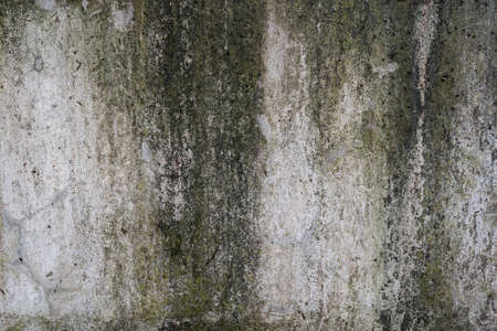 Abstract old dirty dark mossy plaster cement concrete wall texture copy space backgroundの写真素材