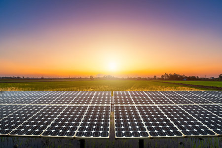 Photovoltaic modules solar power plant with view green Cornfield and Rice Golden with evening blue dramatic sunset sky background, Alternative energy concept.の写真素材
