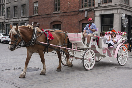 MONTREAL, QUEBEC - AUGUST 28, 2016: A horse-drawn carriage transports tourists in Old Montrealのeditorial素材