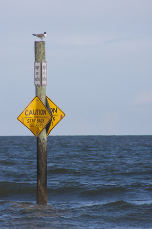 A sign at the beach warning about the water levelの写真素材