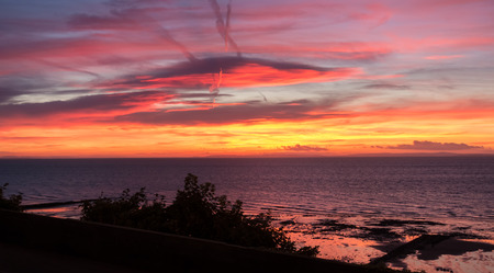 Dramatic sky and sea in yellow, red and magenta colors before sunrise and with trees as silhouetteの写真素材