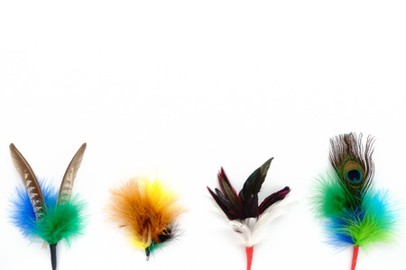 Colorful handmade feather cat toys as attachment for teaser wand and rod. On white background with lots of copy space. の写真素材