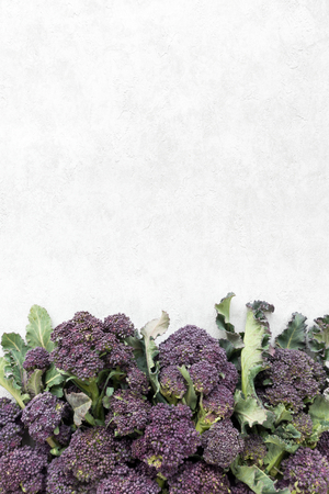 Top view of purple sprouting broccoli heads on gray background with lots of copy space. の写真素材