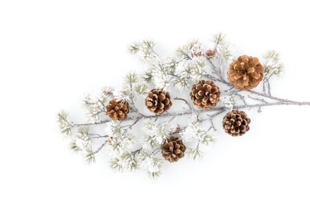 Snow covered evergreen branch with pine cones isolated over white background.の写真素材