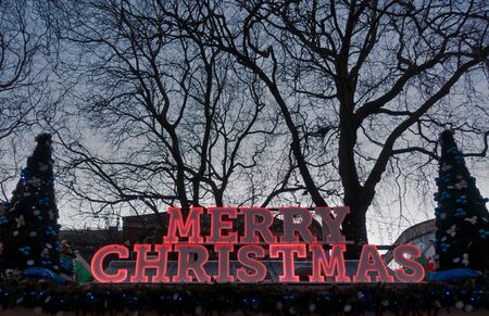Red neon Merry Christmas sign light in the night at a Christmas market with decorated Christmas trees, night sky and trees.の写真素材