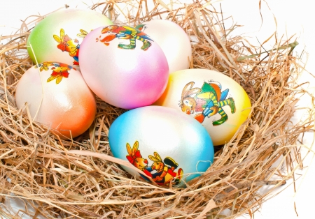 Colorful Easter eggs in a nest  on a white background, の写真素材